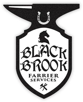 Black Brook Farrier